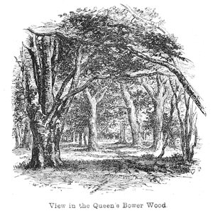 View in the Queen